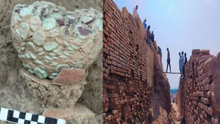 Oldest Mother: మాతృత్వానికి వయసుతో పనిలేదు.. 70ఏళ్ల వయసులో కవలలకు జన్మనిచ్చిన మహిళ..