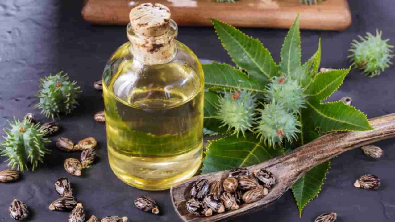 Castor Oil Benefits: నులి పురుగులను దూరం చేసే ఆముదం.. ఇంకా ఎన్నో ప్రయోజనాలు!