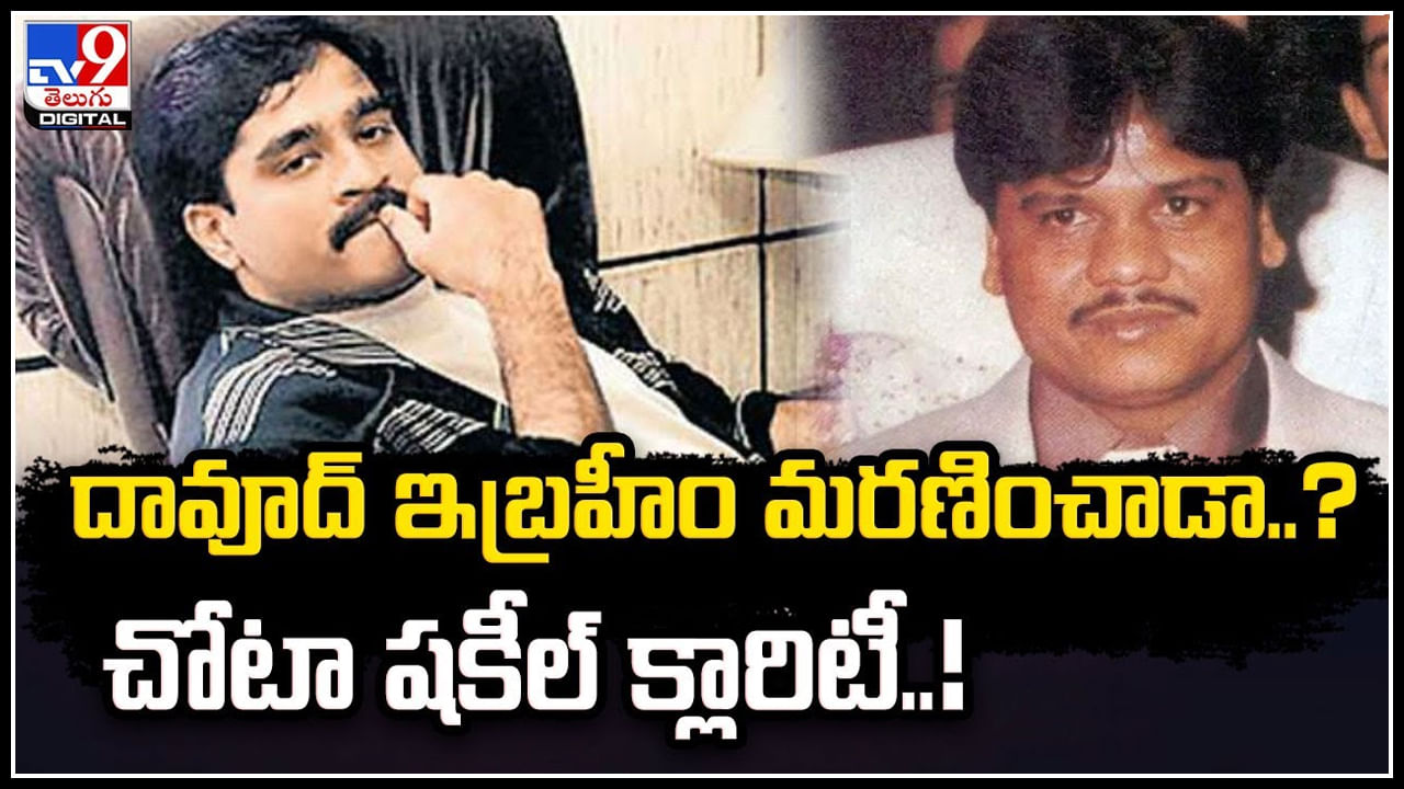 Chhota Shakeel - Dawood Ibrahim: దావూద్ ఇబ్రహీం చచ్చిపోయాడా.? చోటా షకీల్‌ క్లారిటీ..