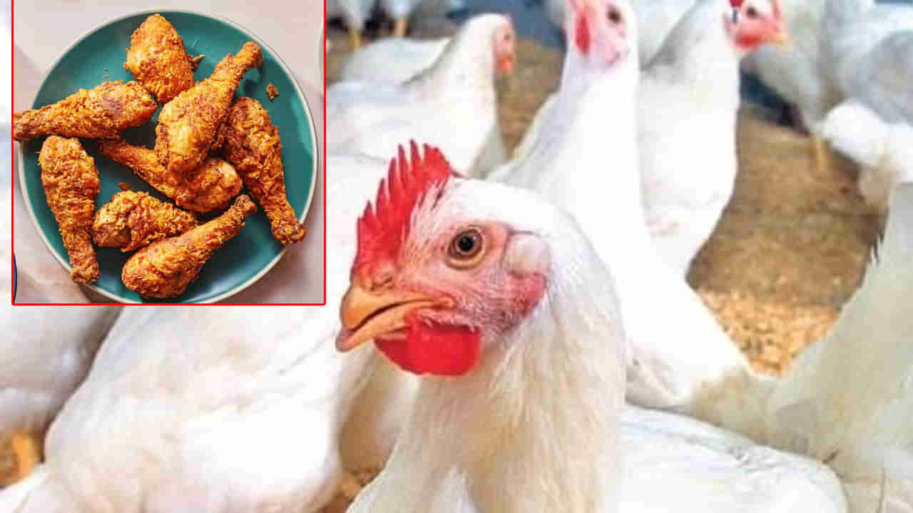 Chicken Price: చికెన్‌ ధరలకు రెక్కలొచ్చాయి.. మొన్నటి వరకు రూ. 180, నేడు..