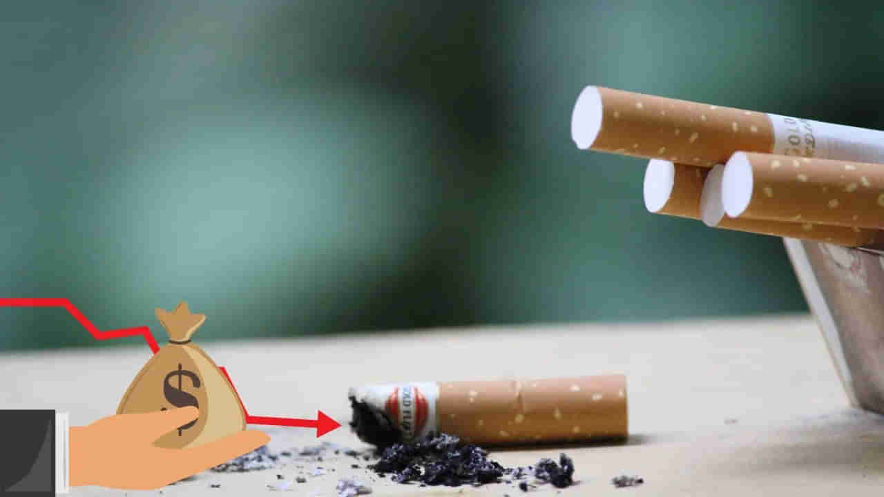 Cigarette Economy: సిగరెట్ ఎకానమీ అంటే ఏమిటి? ప్రభుత్వానికి భారీగా ఆదాయం