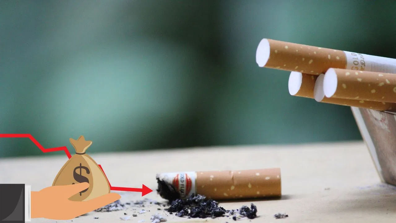 Cigarette Economy: 'సిగరెట్ ఎకానమీ' అంటే ఏమిటి? ప్రభుత్వానికి భారీగా ఆదాయం