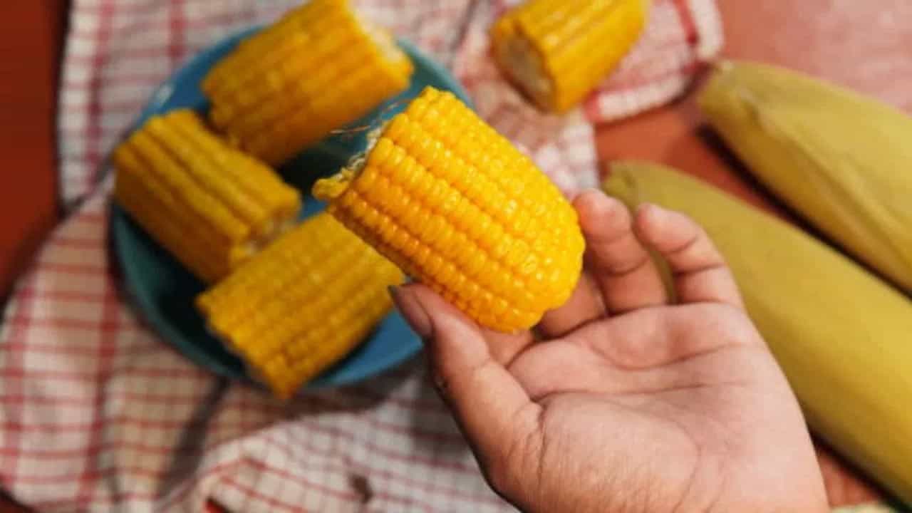 మొక్కజొన్నలో లుటిన్, జియాక్సంతిన్ అనే రెండు యాంటీ ఆక్సిడెంట్లు ఉంటాయి. ఇవి కంటి ఆరోగ్యాన్ని మెరుగుపరుస్తాయి. ముఖ్యంగా ఇది వయస్సు సంబంధిత కంటి సమస్యల ప్రమాదాన్ని తగ్గిస్తుంది. మొక్కజొన్నలో విటమిన్ సి ఉంటుంది. ఇది శరీరంలో యాంటీఆక్సిడెంట్‌గా పనిచేస్తుంది. రోగనిరోధక శక్తిని పెంచుతుంది. అలాగే మొక్కజొన్నలోని యాంటీఆక్సిడెంట్లు, విటమిన్లు చర్మ ఆరోగ్యాన్ని మెరుగుపరుస్తాయి. చర్మ వృద్ధాప్య సంకేతాలను తగ్గిస్తుంది.