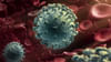 Coronavirus: డేంజర్ బెల్స్ మోగిస్తోన్న కరోనా కొత్త వేరియంట్‌.. తాజాగా ఎన్ని కేసులు నమోదయ్యాయో తెలుసా..?