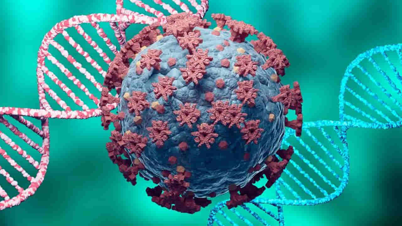 Health: కరోనా కొత్త వేరియంట్ను తరిమికొట్టాలంటే, రోగనిరోధక శక్తిని ఇలా పెంచుకోండి..