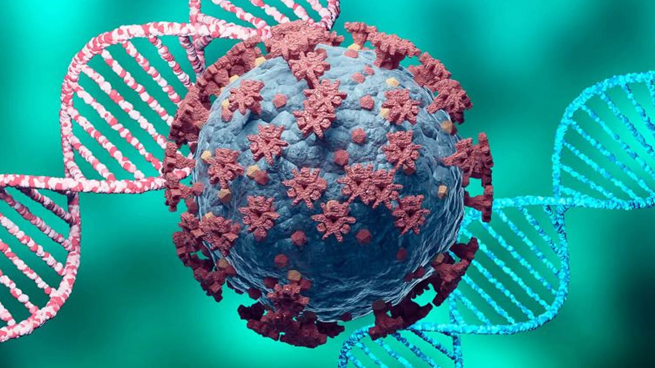 Health: కరోనా కొత్త వేరియంట్‌ను తరిమికొట్టాలంటే, రోగనిరోధక శక్తిని ఇలా పెంచుకోండి..