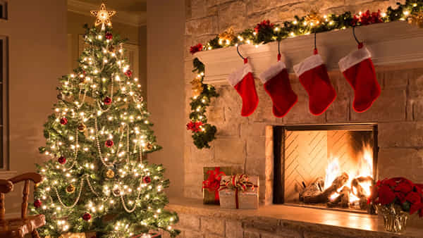Christmas Celebrations: దేశ వ్యాప్తంగా అంగరంగ వైభవంగా క్రిస్మస్ వేడుకలు.. ప్రజలకు శుభాకాంక్షలు తెలిపిన నాయకులు..