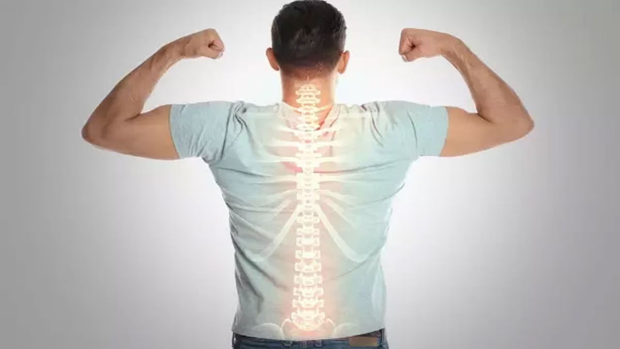 జీర్ణవ్యవస్థని మెరుగుపరచి మలబద్ధకాన్ని అదుపులోకి ఉంచుతుంది. పెరుగు రోజూ తీసుకుంటే ఇందులోని ప్రోబయోటిక్స్‌ మూత్రపిండాల వ్యాధులను అదుపులో ఉంచుతాయి. రక్తంలో గ్లూకోజ్‌ స్థాయులను తగ్గించి, రక్త సరఫరాను సమన్వయం చేస్తుంది.