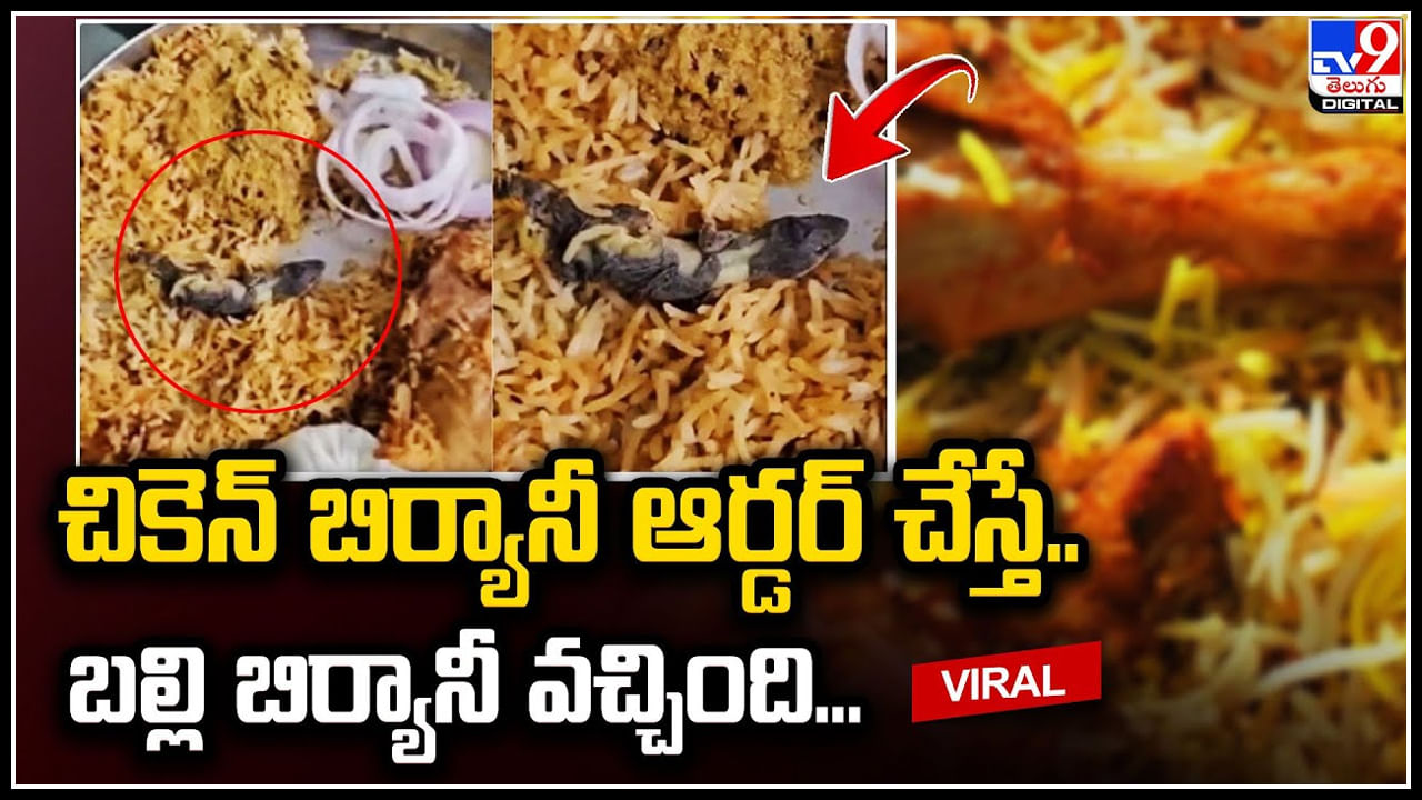 Lizard in Biryani: చికెన్‌ బిర్యానీ ఆర్డర్‌ చేస్తే.. బల్లి బిర్యానీ వచ్చింది.! వీడియో వైరల్..