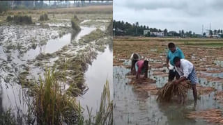 Andhra Pradesh: ఏపీ ఓటరు బీ అలర్ట్.. ఓట‌ర్ న‌మోదుకు రేపే చివ‌రి తేదీ.. వ‌చ్చే ఎన్నిక‌ల్లో ఓటు వేయాలంటే ఇదే లాస్ట్ చాన్స్