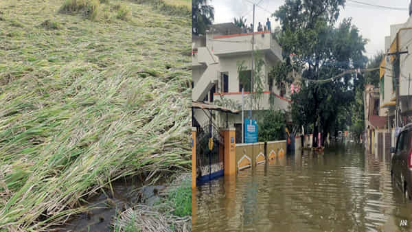 Cyclone Michaung: తుఫాన్ తీరం దాటినా తీరని నష్టం.. వరదల్లో గల్లంతయిన పంట నష్టం.. విరిగిన విద్యుత్ స్థంభాలు.. కోట్ల మేర ఆస్తి నష్టం