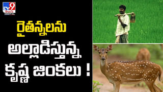 Viral: అప్పుడే పుట్టిన బిడ్డను బోరుబావిలో పడేశారు.. ఎవరు కన్నారో.. ఎందుకు పడేశారో.?