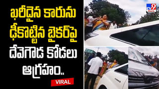 నెహ్రూ జూలాజికల్‌ పార్క్‌లో ఖడ్గమృగానికి కంటి ఆపరేషన్‌