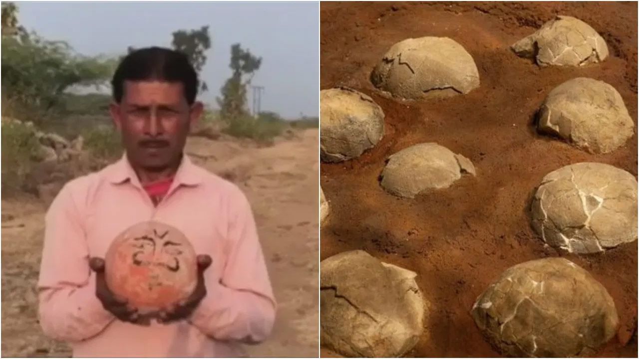 Dinosaur Eggs: వామ్మో.. కులదేవతలనుకుని ఆ ఊర్లో డైనోసార్ గుడ్లకు తరతరాలుగా పూజలు! అవాక్కైన గ్రామస్థులు