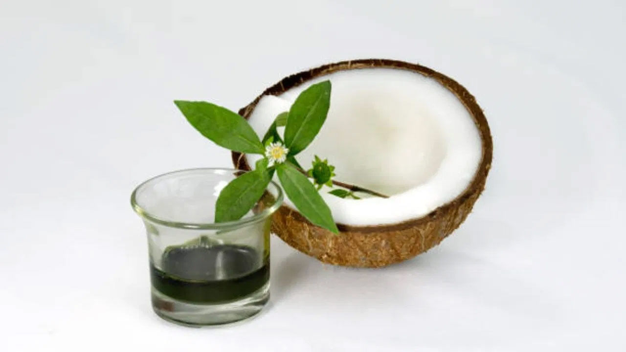 చలికాలంలో చాలా మంది చుండ్రు సమస్యతో బాధపడుతుంటారు. తల నిండుగా చుండ్రు రావడం వల్ల తల దురద పెడుతుంది. జుట్టు కూడా ఎక్కువగా రాలిపోతుంది. ఈ సమస్యలన్నింటినీ సహజ పద్ధతుల్లో పరిష్కరించవచ్చంటున్నారు నిపుణులు. వీటిని పాటించడం ద్వారా కేవలం 7 రోజుల్లోనే తెల్ల జుట్టు రంగు నల్లగా మారుతుంది. 