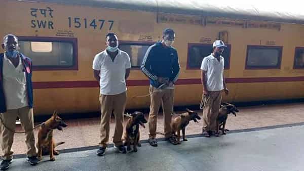 Andhra Pradesh: గంజాయి బ్యాచ్ల ఆట కట్టించేందుకు రంగంలోకి స్నిఫర్ డాగ్స్.. ఎలాంటి శిక్షణ పొందాయో తెలిస్తే పరుగో పరుగు..!