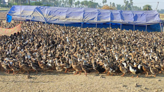 Telangana: కాంగ్రెస్‌ ప్రభుత్వం ఉండేది ఏడాదే.. హీట్‌ పెంచుతోన్న నాయకుల మాటలు