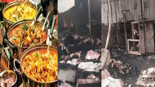 Cyber Crime: భారతదేశంలో అధికశాతం సైబర్ నేరాలు ఈ రెండింటిపైనే.. తాజా సర్వేలో కీలక అంశాలు..