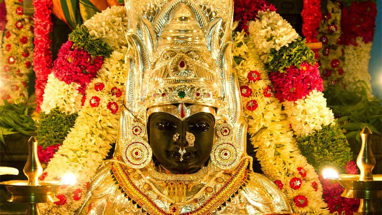 భగవతీ దేవి ఆలయం కన్యాకుమారిలో ఉంది. ఈ ఆలయంలో పార్వతి అవతారమైన భగవతి మాత పూజలు అందుకుంటుంది. శివుడిని భర్తగా పొందాలని తపస్సు చేసేందుకు మహిళలు ఇక్కడికి వస్తారని చెబుతారు. భగవతి మాతను త్యజించే దేవత అని కూడా అంటారు. ఈ ఆలయంలో అమ్మవారిని సన్యసించిన పురుషులు మాత్రమే దర్శనం చేసుకోవచ్చు. అలాగే ఈ ఆలయంలోకి పురుషులకు కూడా అనుమతి లేదు. ఈ ఆలయ సముదాయంలో కేవలం మహిళలు మాత్రమే పూజలు చేస్తారు. ఈ ఆలయ ప్రాంగణంలో స్త్రీలే కాకుండా హిజ్రాలకు కూడా పూజలు చేసుకునే స్వేచ్ఛ ఉంది. ఈ ఆలయానికి సంబంధించిన మరొక విశేషమేమిటంటే, పురుషులు ఆలయంలోకి ప్రవేశించాలంటే స్త్రీల వలె అలంకరణలు చేయాలి.