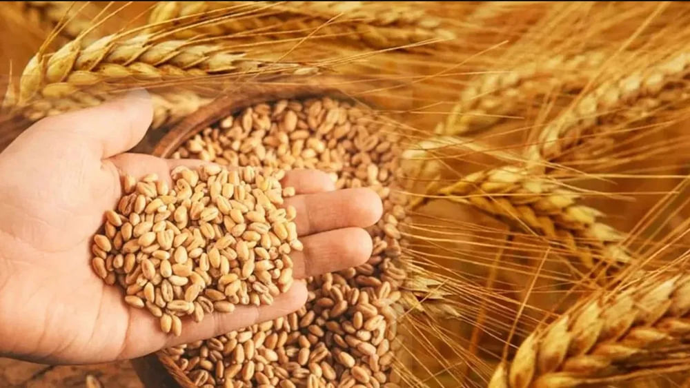 Flour, Pulses Prices: పెరగనున్న పిండి, పప్పుల ధరలు.. కారణం ఏంతో తెలుసా..? Flour, Pulses Prices: పెరగనున్న పిండి, పప్పుల ధరలు.. కారణం ఏంతో తెలుసా..?
