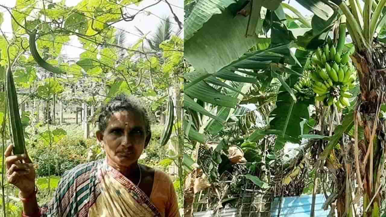 Farmer Woman Ankamma: పెట్టుబడి వేలల్లో.. ఆదాయం లక్షల్లో.. ఈమె ఐడియా అదుర్స్..