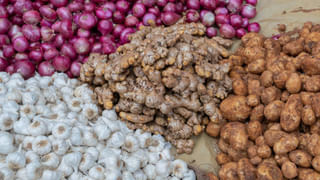 Telangana: మహిళ జడ్జ్‌కు న్యాయవాది వేధింపులు.. సుమోటోగా స్వీకరించిన హైకోర్టు