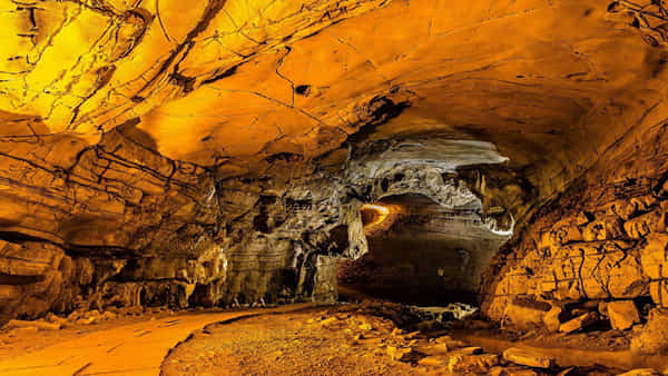 Gold Mines: రాయలసీమ నిజంగా రతనాల సీమే.. ఆ ప్రాంతాల్లో బంగారు నిక్షేపాలు.. చిగురిస్తున్న ఆశలు..