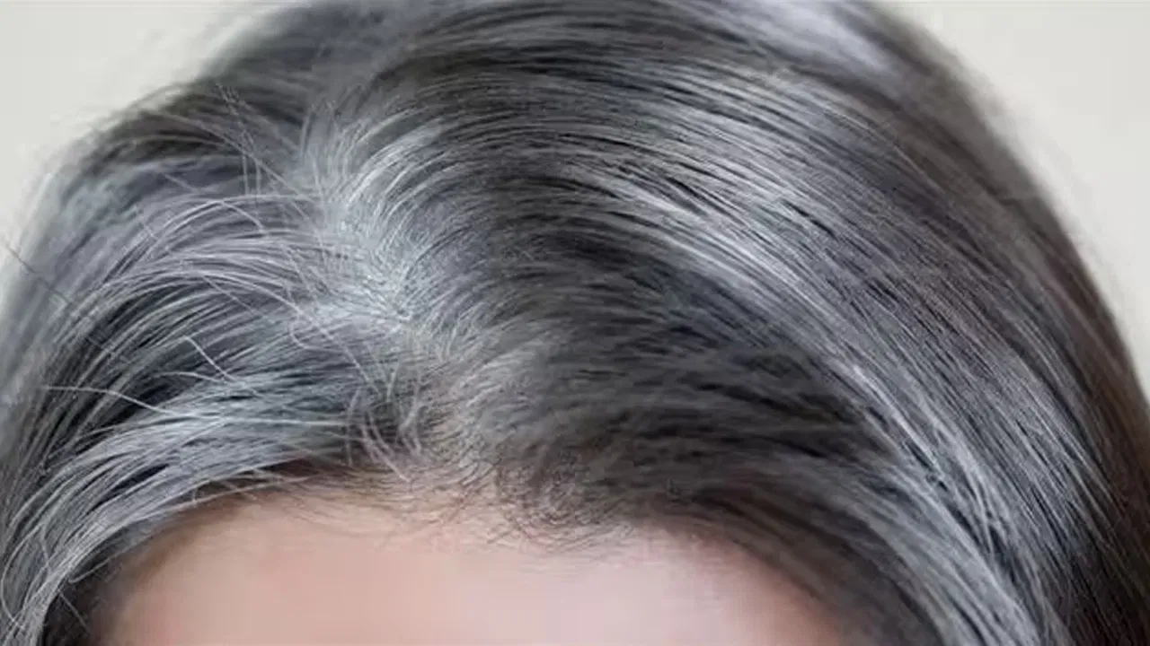 చాలా మందికి ఇప్పుడు యుక్త వయసులో ఉన్నప్పుడే తెల్ల జుట్టు వచ్చేస్తుంది. చిన్న పిల్లల్లో కూడా ఈ తెల్ల జుట్టు అనేది కనిపిస్తుంది. దీని వల్ల చాలా మంది తమ ఆత్మ విశ్వాసాన్ని కోల్పోతున్నారు. నలుగురిలో వెళ్లడానికి కూడా ఇబ్బంది పడుతూ ఉంటారు. ఈ తెల్ల జుట్టును కవర్ చేసుకోవడానికి హెయిర్ కి రంగులు వేసుకుంటూ ఉంటారు. కానీ వీటి వల్ల చాలా సైడ్ ఎఫెక్ట్స్ వస్తున్నాయి. 
