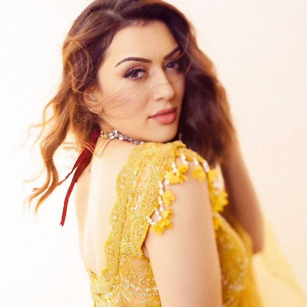 డైనమిక్ డైరెక్టర్ పూరీజగన్నాద్ దర్శకత్వంలో వచ్చిన దేశముదురు సినిమాతో తెలుగు ప్రేక్షకులను పలకరించింది హన్సిక. తొలి సినిమాతోనే ప్రేక్షకులను ఆకట్టుకుంది.