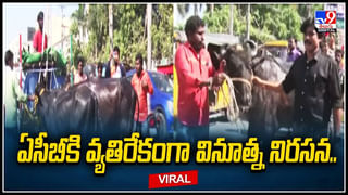 Viral: మొన్న టమాటా., ఇప్పుడు మిర్చి.. రెచ్చిపోయిన దొంగలు. వీడియో వైరల్.