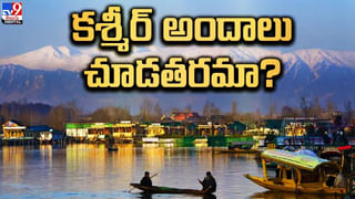 Viral Video: అనర్గళంగా 7 భాషలు మాట్లాడుతున్న చిన్నారి.. ప్రతిభకు ఫిదా అవ్వాల్సిందే అందరూ