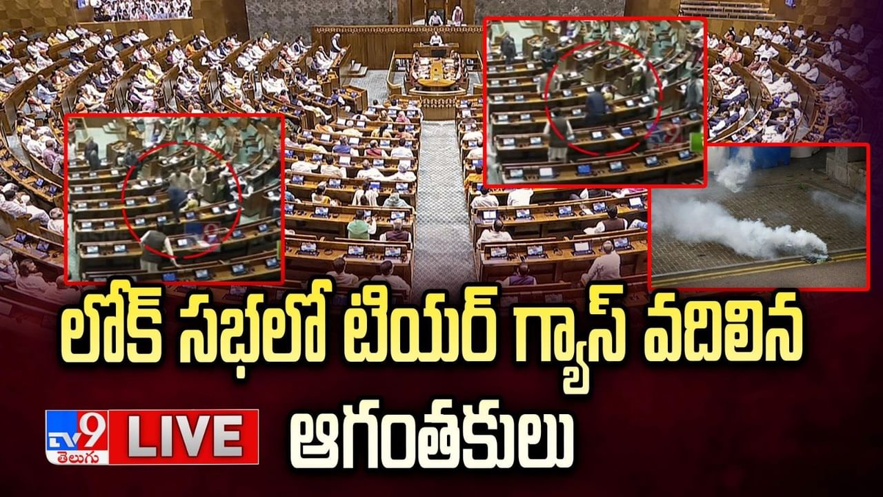 Lok Sabha: లోక్ సభలో టియర్ గ్యాస్ వదిలిన ఆగంతకులు.. సభ వాయిదా వేసిన స్పీకర్