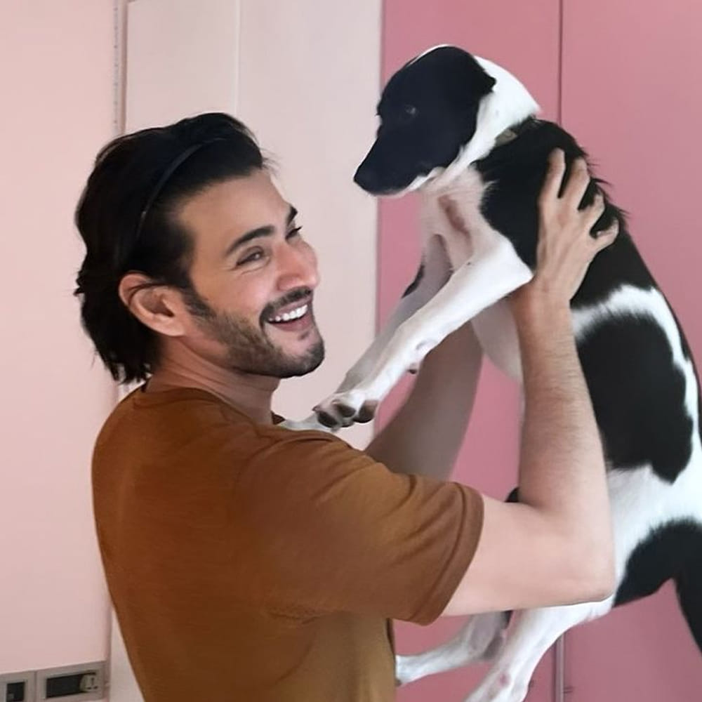 సరైన కంటెంట్‌తో నార్త్‌ ఎంట్రీ ఇస్తే మహేష్ కూడా ప్రభాస్‌ లాగే రికార్డ్ తిరగరాయటం పక్కా అంటున్నారు ఫ్యాన్స్‌. మరి ఫ్యాన్స్ కోరికను మహేష్ కన్సిడర్ చేస్తారేమో చూడాలి. 