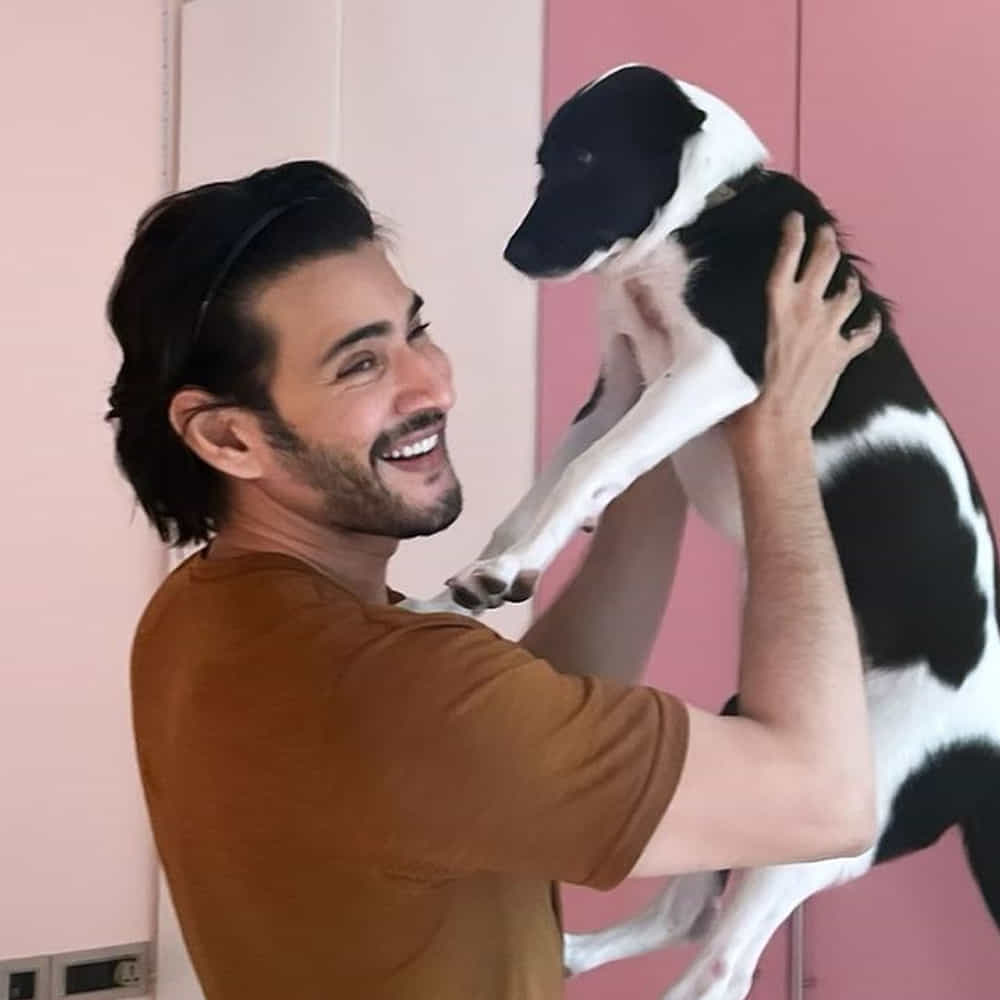 సరైన కంటెంట్తో నార్త్ ఎంట్రీ ఇస్తే మహేష్ కూడా ప్రభాస్ లాగే రికార్డ్ తిరగరాయటం పక్కా అంటున్నారు ఫ్యాన్స్. మరి ఫ్యాన్స్ కోరికను మహేష్ కన్సిడర్ చేస్తారేమో చూడాలి.