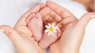 Tata Upcoming Cars: కొత్త సంవత్సరంలో టాటా కొత్త కార్ల జాతర..  జాబితా ఇదే..