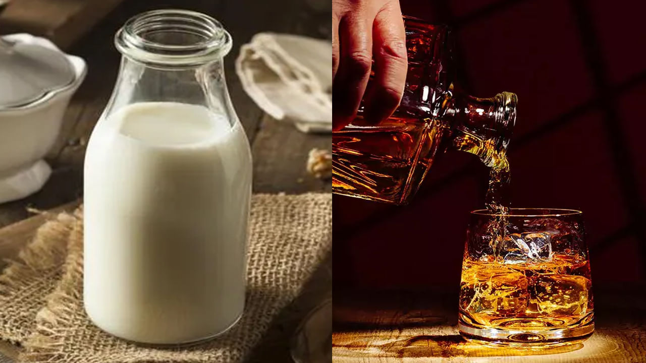 Milk Contains Alcohol పాలు తాగితే ప్రమాదమేనా.. ! మిల్క్ తాగితే మద్యం