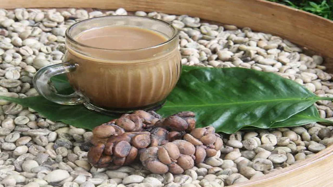 Kopi Luwak Coffee : ప్రపంచంలోనే అత్యంత ఖరీదైన కాఫీ 'కోపి లువాక్' దీన్ని సివెట్ కాఫీ అని కూడా అంటారు. అమెరికాలో ఒక్క కప్పుకాఫీకి దాదాపు రూ. 6 వేలు ఉంటుంది. సౌదీ అరేబియా, దుబాయ్, యూఎస్, యూరప్ వంటి దేశాల్లో సివెట్ కాఫీకి మంచి డిమాండ్ ఉంది. ఈ కాఫీ 1కేజీ ధర రూ. 20 నుంచి 25 వేల వరకు ఉంటుంది.