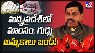 Fire Accident: ఘోర అగ్నిప్రమాదం.. షాపింగ్‌ మాల్‌లో ఎగసిపడిన అగ్నికీలలు.!