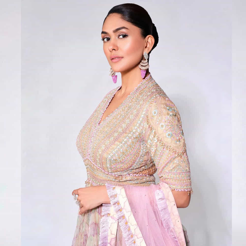 ఇటీవలే హాయ్ నాన్న సినిమాతో సూపర్ హిట్ అందుకుంది మృణాల్ ఠాకూర్. ఇందులో న్యాచురల్ స్టార్ నాని ప్రధాన పాత్రలో నటించగా.. శౌర్యువ్ దర్శకత్వం వహించారు.