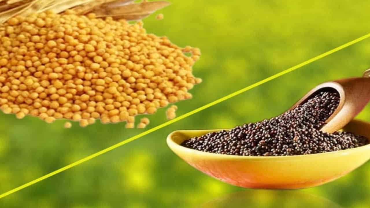 ఆవాలను మైక్రో గ్రీన్స్ లాగా తయారు చేసుకుని తీసుకోవడం వల్ల శరీరంలో రోగ నిరోధక శక్తి మెరుగుపడుతుంది. వాతావరణంలో వచ్చే మార్పుల వల్ల వచ్చే వైరల్, బ్యాక్టీరియల్ ఇన్ఫెక్షన్లు ఈ ఆవాల ఆకును తీసుకోవడం వల్ల ఈ సమస్య నుంచి బయట పడవచ్చు. ఆవాల ఆకును తీసుకోవడం వల్ల అనేక అనార్యోగ సమస్యల బారిన పడకుండా ఉంటామని ఆరోగ్యనిపుణులు చెబుతున్నారు.