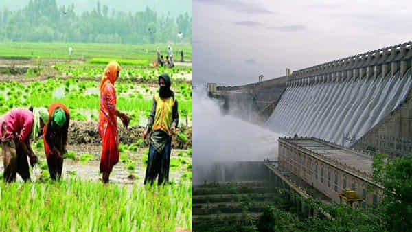 Nagarjuna Sagar: సాగర్ ఆకట్టు కింద రైతులకు క్రాప్ హాలిడే.. యాసంగి పంటకు బోర్లు, బావులే దిక్కా..!