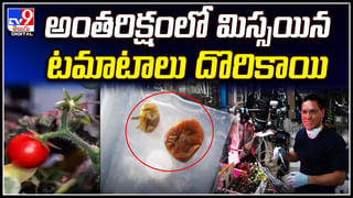 Viral: ఇది పిజ్జా కాదు.. అంతకు మించి.! ఆకట్టుకుంటున్న అతిపెద్ద పరోటా.. వీడియో వైరల్‌.