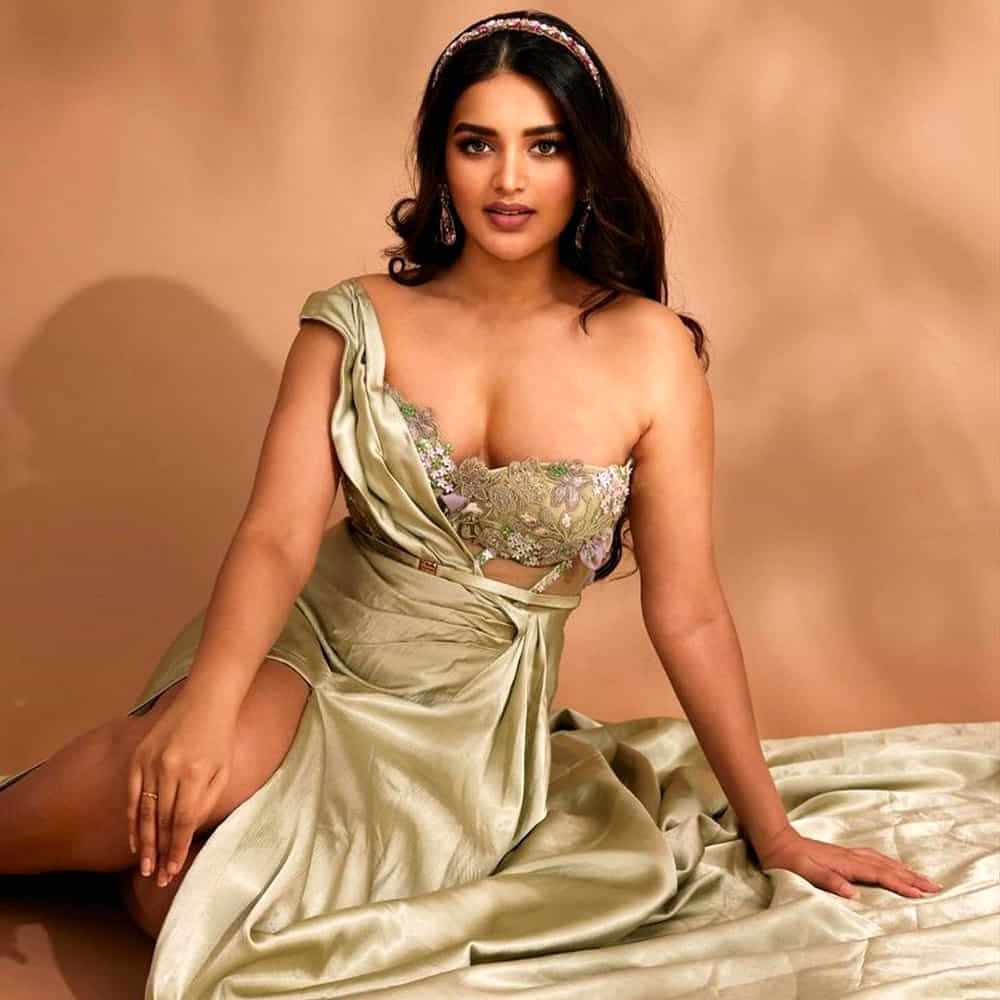 ఆ తర్వాత ఈ అమ్మడు సాలిడ్ హిట్ అందుకోలేకపోయింది. ఇక ఇప్పుడు పవర్ స్టార్ పవన్ కళ్యాణ్ సరసన నటిస్తుంది హాట్ బ్యూటీ నిధి.