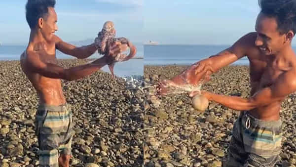 Watch Video: ఆక్టోపస్తో పెట్టుకున్నాడు...? తగులుకుంటే వదిలించుకోలేక తలకిందులవుతున్నాడు..