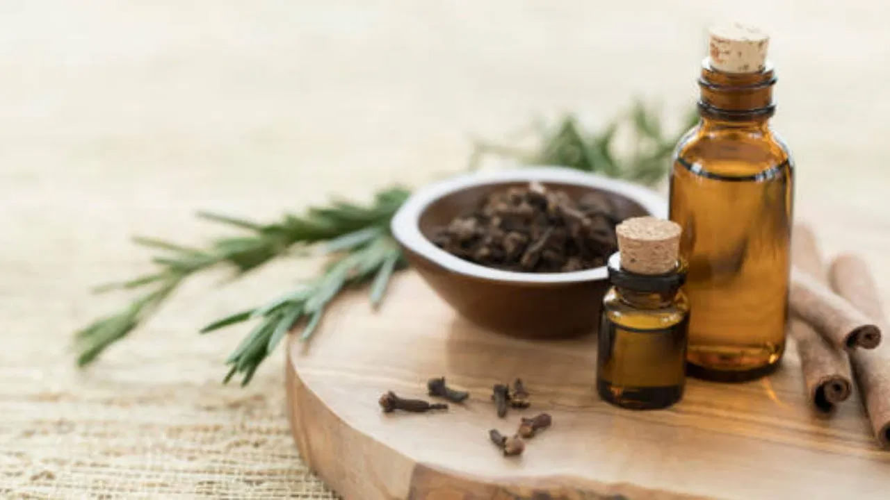 నూనె చర్మాన్ని మృదువుగా ఉంచుతుంది. అయితే చర్మాన్ని తేమగా ఉంచేందుకు మాయిశ్చరైజర్కు మించిన ప్రత్యామ్నాయం లేదు. మాయిశ్చరైజర్ని రెగ్యులర్గా అప్లై చేయడం వల్ల చర్మం మృదువుగా, తేమగా ఉంటుంది. నూనె చర్మంపై రక్షణ పొరను ఏర్పరుస్తుంది. ఇది చర్మం లోపల తేమను లాక్ చేస్తుంది.