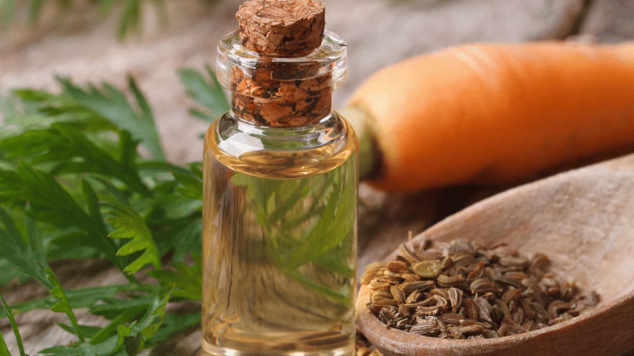 చలికాలంలో చర్మం పొడిబారి గరుకుగా మారుతుంది. ప్రతి నూనె దాని స్వంత లక్షణాలను కలిగి ఉంటుంది. చర్మం, జుట్టును ఆరోగ్యంగా ఉంచడంలో నూనెలు ప్రత్యేక పాత్ర పోషిస్తాయి. ప్రస్తుతం మార్కెట్లో అనేక రకాల నూనెలు అందుబాటులో ఉన్నాయి. కాబట్టి నూనెలు కొనుగోలు చేసే ముందు దాని గురించి క్షుణ్ణంగా తెలుసుకోవాలి.