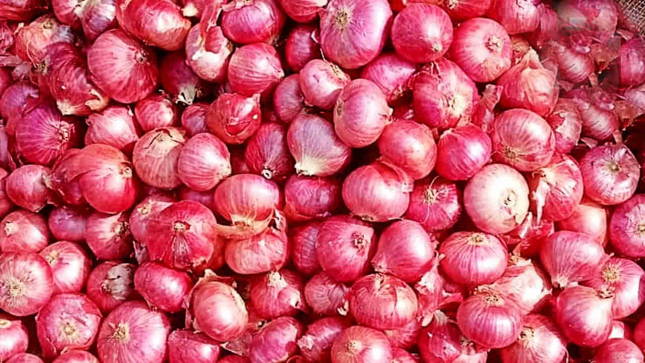 Onion Price: మోడీ సర్కార్‌ చర్యలతో తగ్గుముఖం పడుతున్న ఉల్లి ధర..!