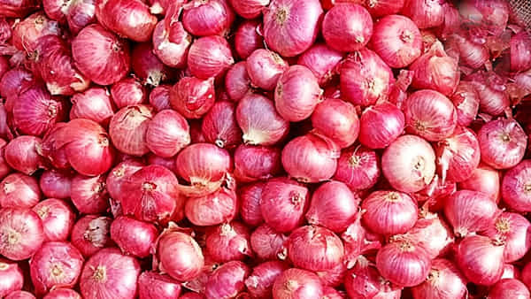 Onion Price: మోడీ సర్కార్ చర్యలతో తగ్గుముఖం పడుతున్న ఉల్లి ధర..!
