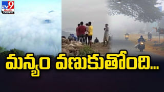 రైతన్నలను అల్లాడిస్తున్న కృష్ణ జింకలు