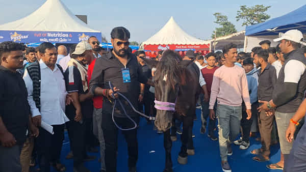 Pet Carnival: దేశంలోనే అద్భుతమైన జంతు ప్రదర్శన.. వేల సంఖ్యలో హాజరైన పెట్ లవర్స్..